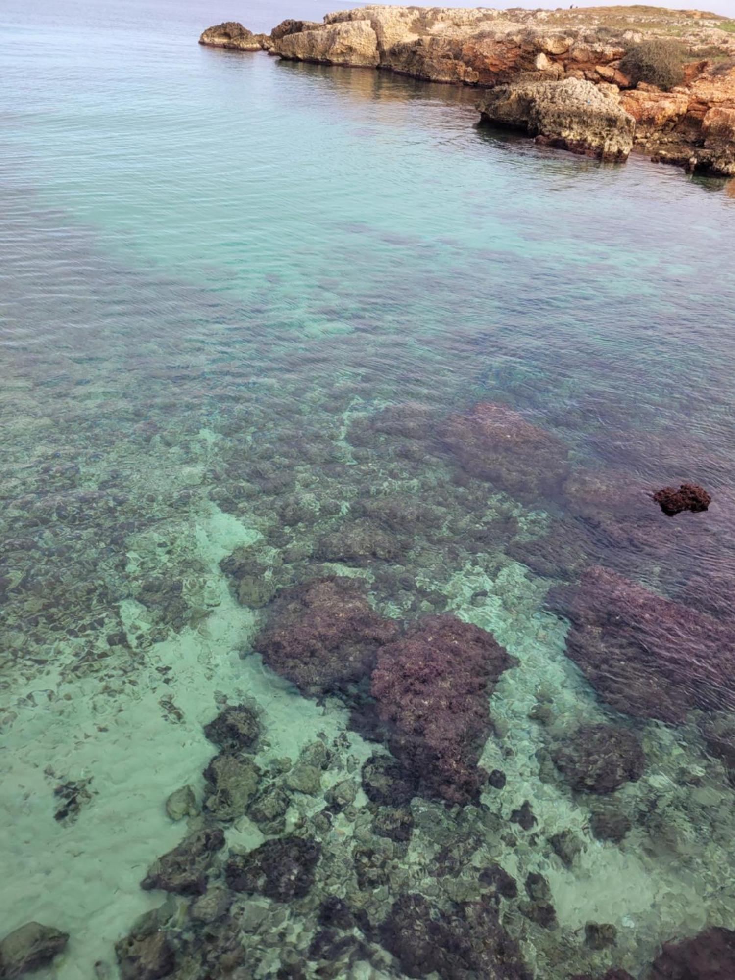Cala Paradiso Monopoli Kültér fotó