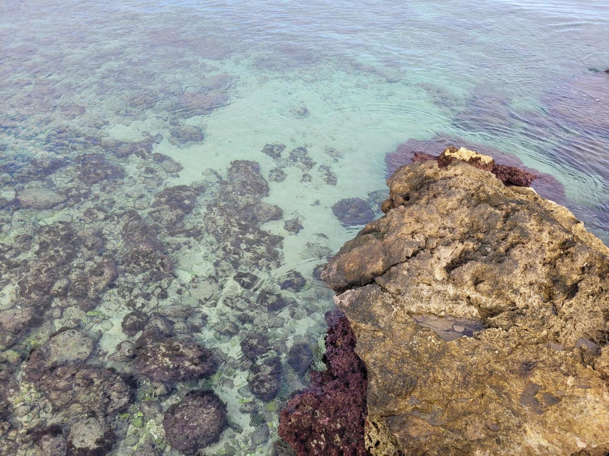 Cala Paradiso Monopoli Kültér fotó