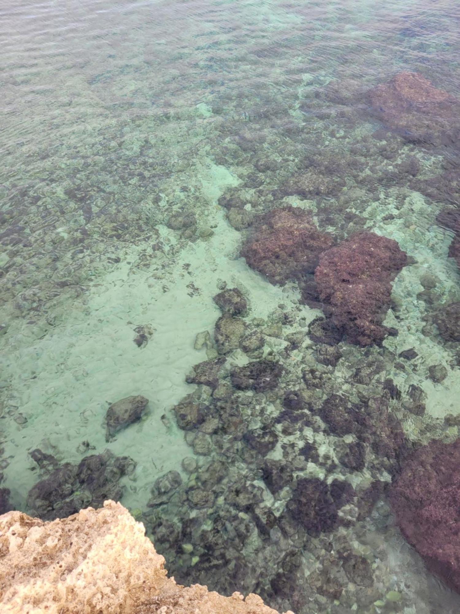 Cala Paradiso Monopoli Kültér fotó